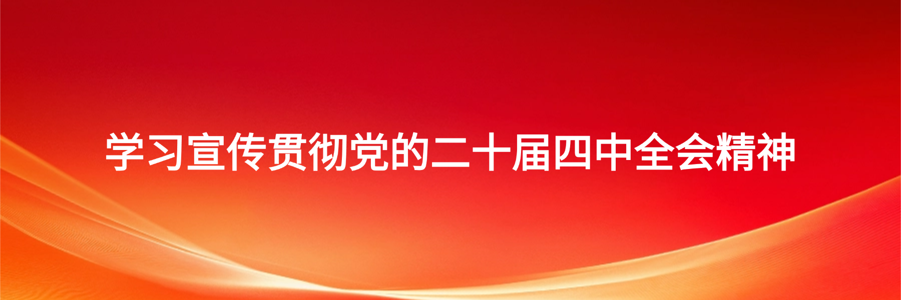 学习宣传贯彻党的二十届四中全会精神
